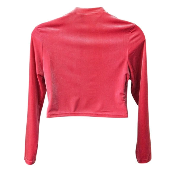SHEIN CURV High Neck LongSleeve Cropped Pink Velvet Front Embellished O-Ring Top - Picture 14 of 14